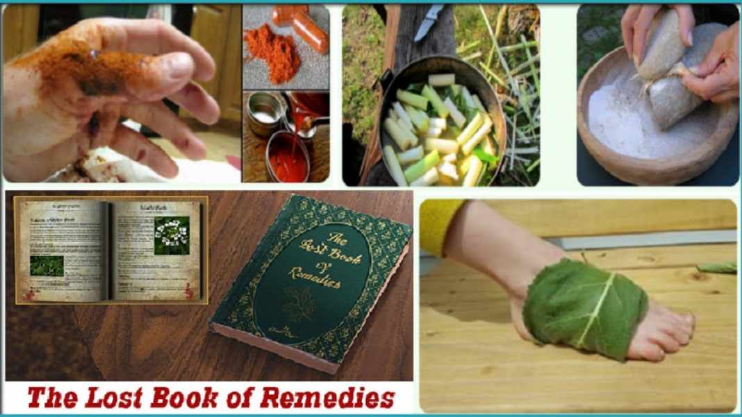 the lost book of herbal remedies the lost book of herbal remedies