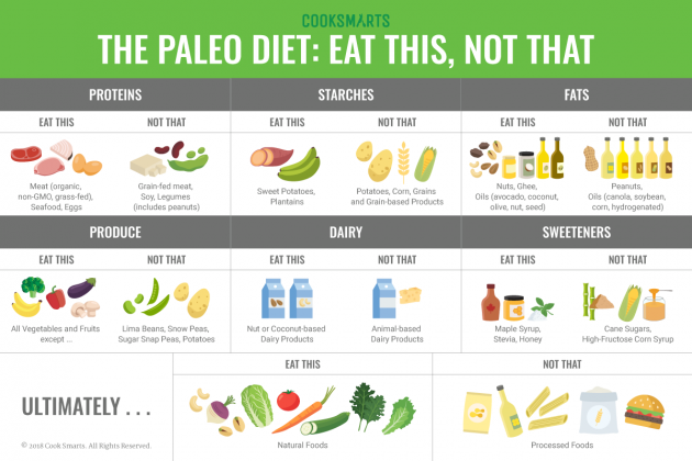 what-is-paleo-diet-what-is-paleo-dietwhat-is-paleo-diet